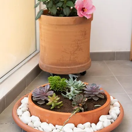 Coqueto Vistas Al Mar