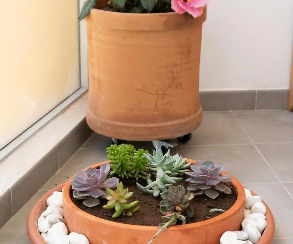 Coqueto Vistas Al Mar