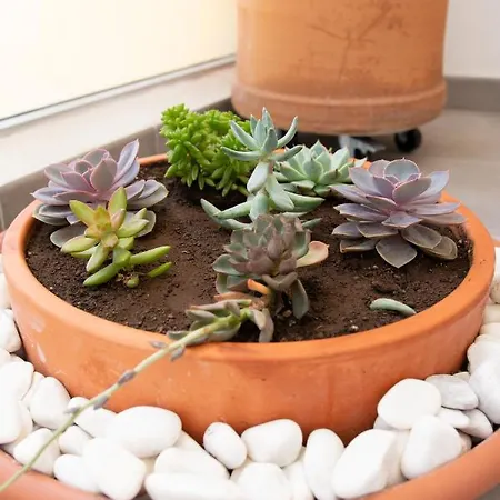 Apartmán Coqueto Vistas Al Mar *