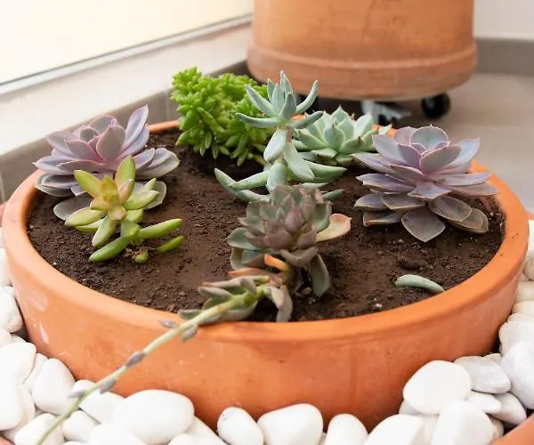 Apartament Coqueto Vistas Al Mar *