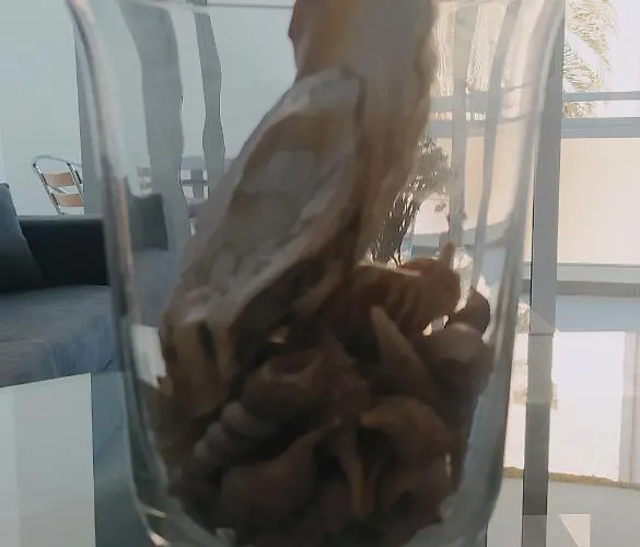 Coqueto Vistas Al Mar Apartament